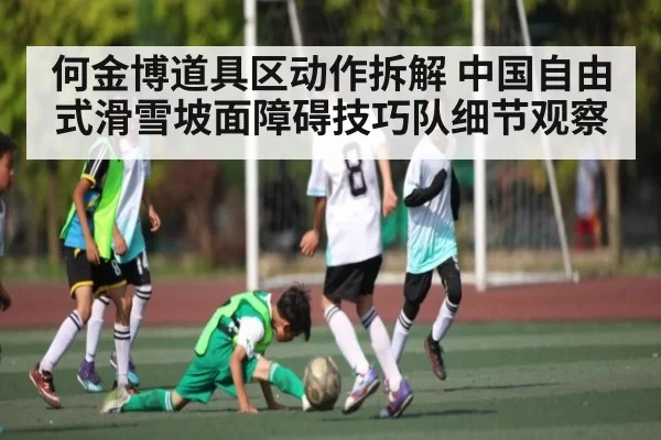 何金博道具区动作拆解 中国自由式滑雪坡面障碍技巧队细节观察