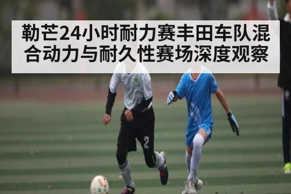 勒芒24小时耐力赛丰田车队混合动力与耐久性赛场深度观察